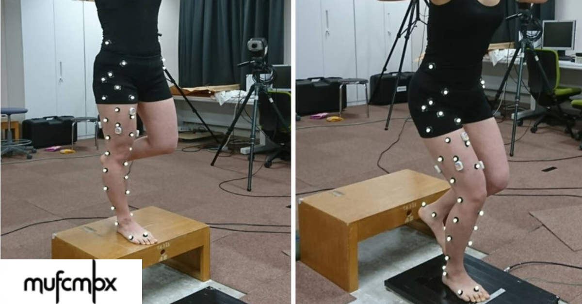 How the Tibia Supports Your Body Movement